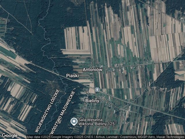 Działka leśna Antoniów. Zdjęcie 1