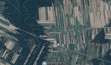 Działka leśna Antoniów