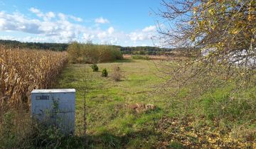 Działka rolno-budowlana Pruska Łąka