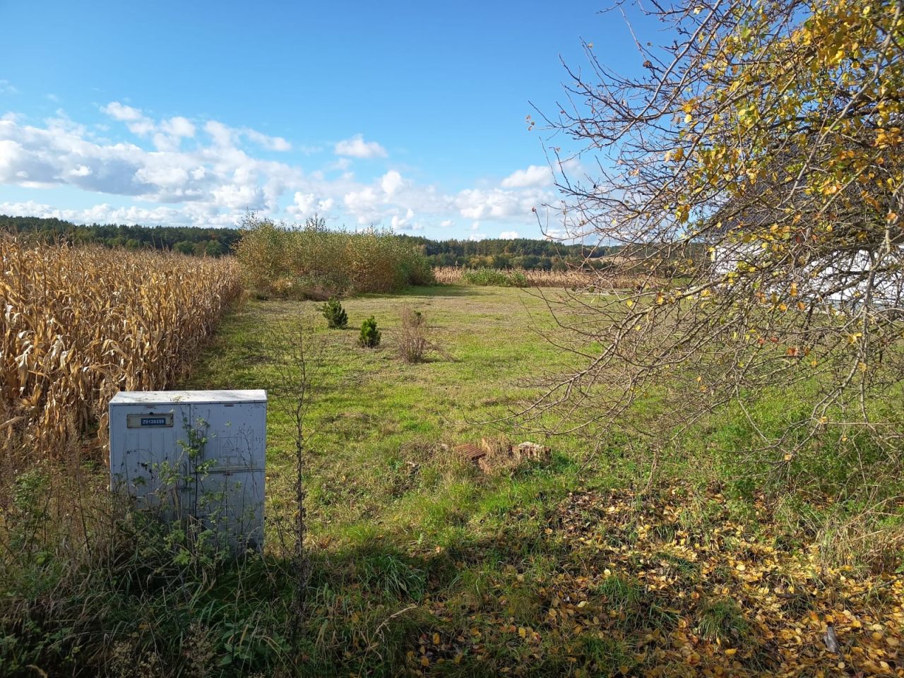 Działka rolno-budowlana Pruska Łąka. Zdjęcie 2