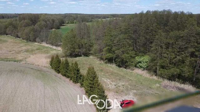 Działka budowlana Kłodawa. Zdjęcie 9
