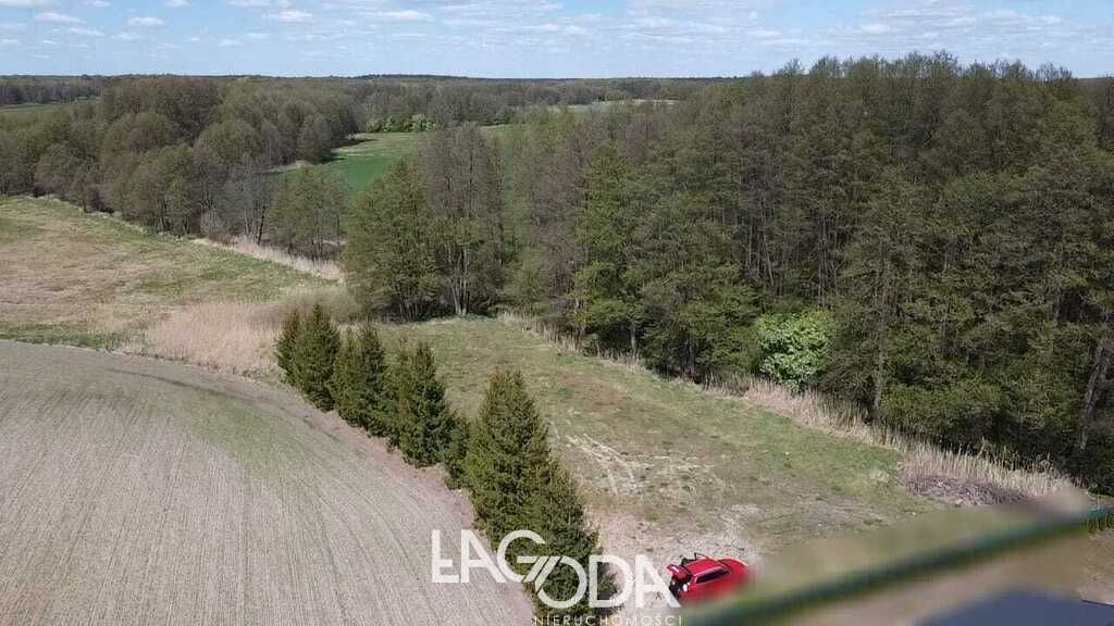 Działka budowlana Kłodawa. Zdjęcie 9