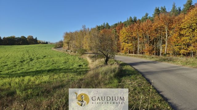Działka inwestycyjna Goszyn. Zdjęcie 1