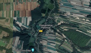 Działka rolna Pilaszkowice Pierwsze