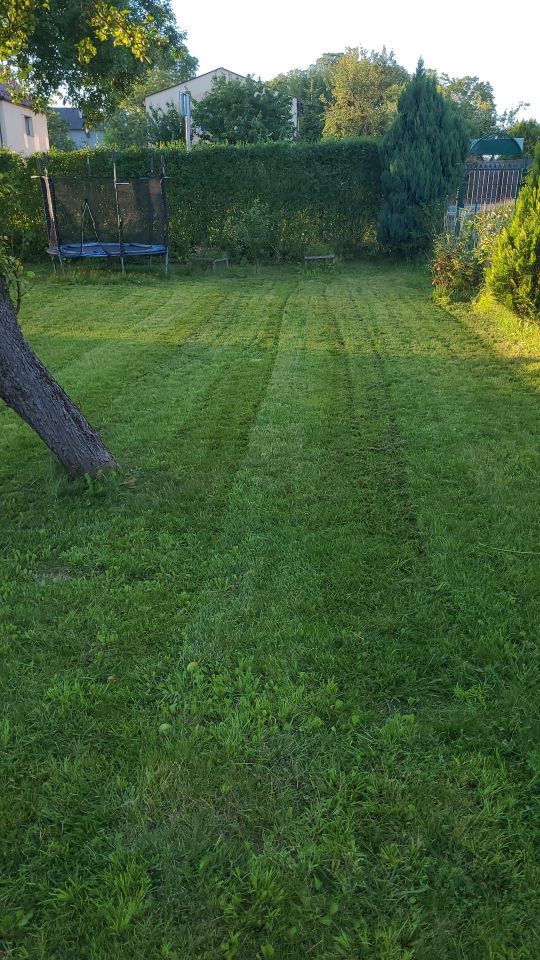 Działka rekreacyjna Gliwice Trynek, ul. Piotra Bardowskiego