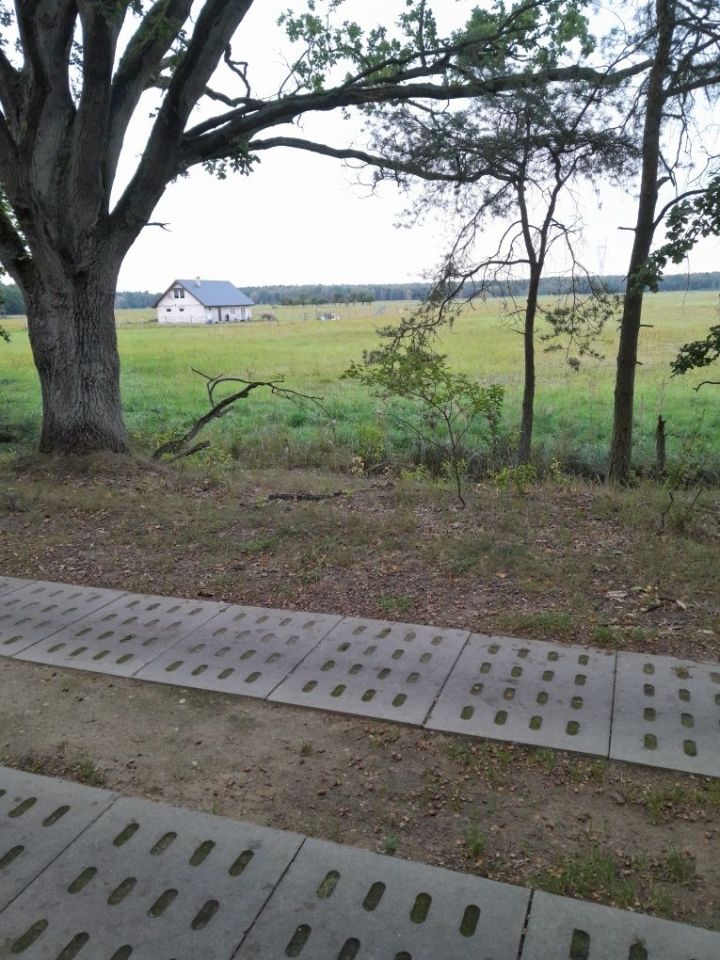 Działka budowlana Żdżary. Zdjęcie 6