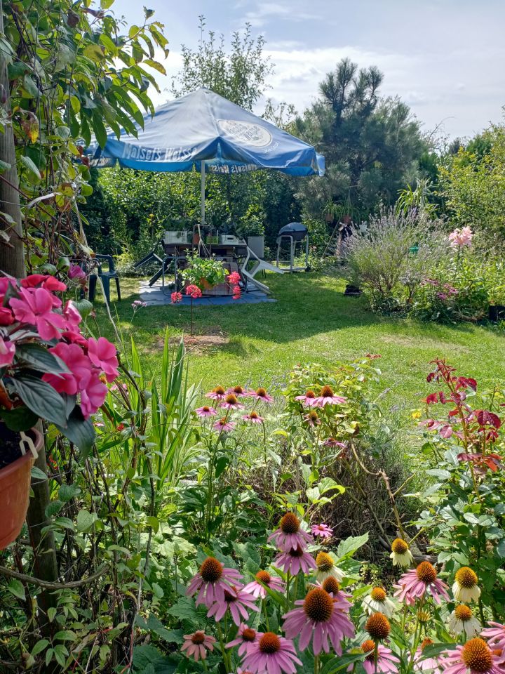 Działka rekreacyjna Wrocław Bierdzany, ul. Nizinna. Zdjęcie 7