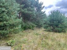 Działka rolna Nowe Miasto-Folwark. Zdjęcie 4