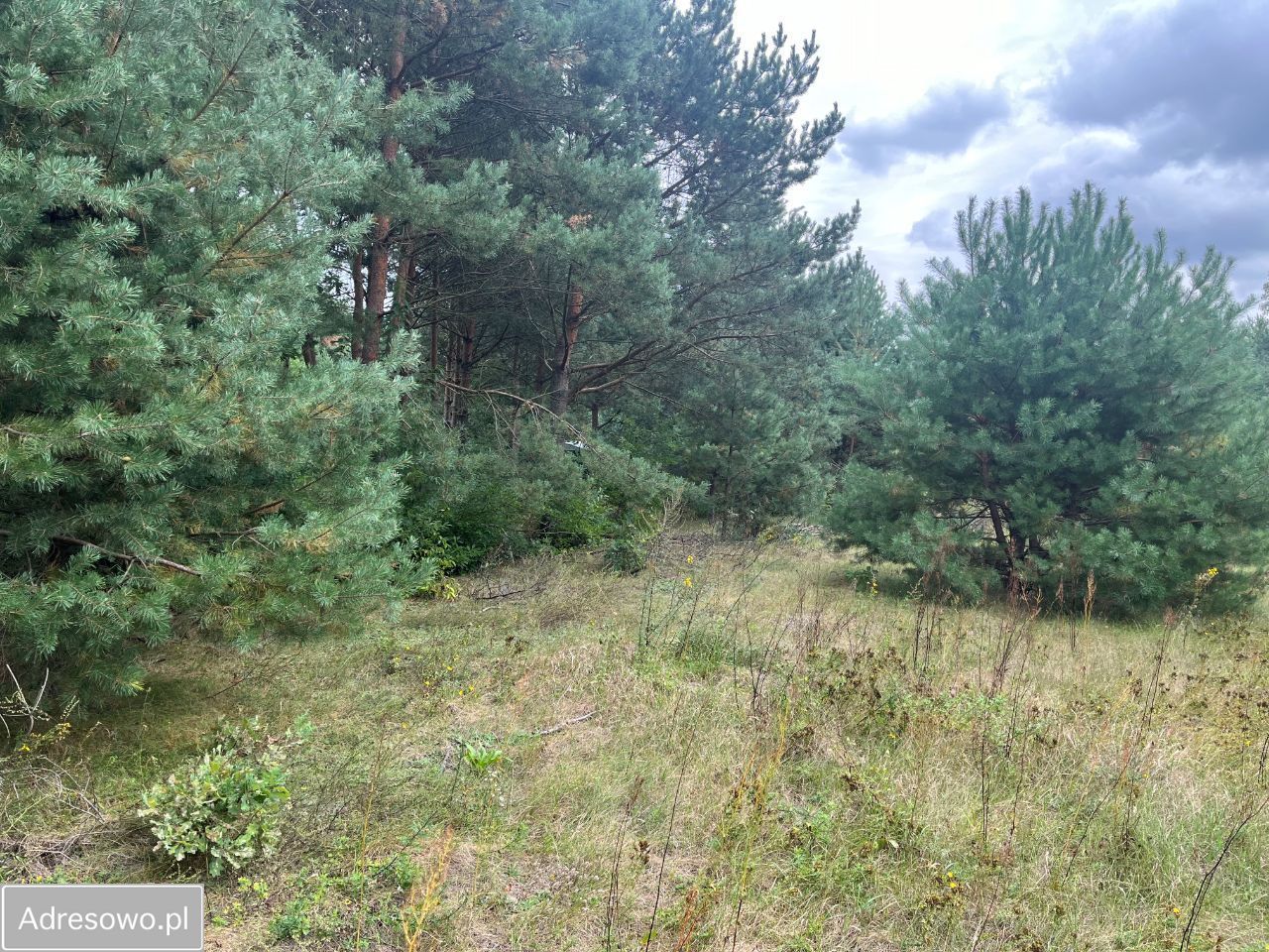 Działka rolna Nowe Miasto-Folwark. Zdjęcie 5