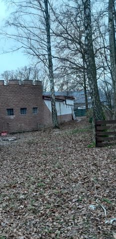 Hala/magazyn Dąbrowa Chotomowska. Zdjęcie 8