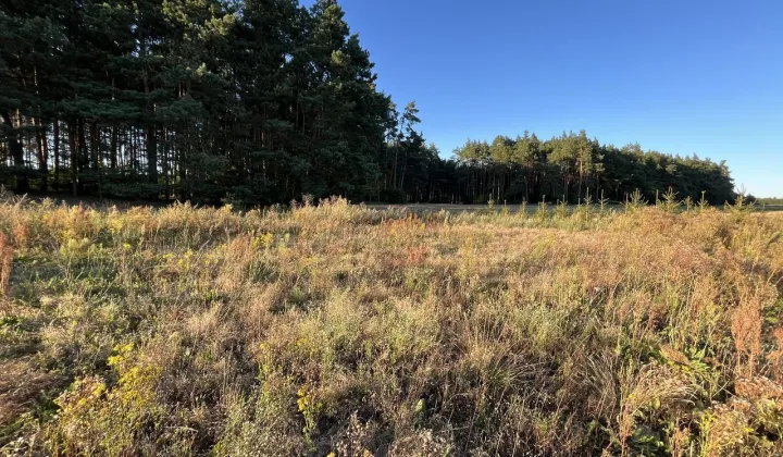 Działka rolno-budowlana Cekcyn Cekcynek