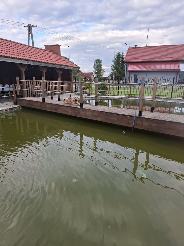 dom wolnostojący, 3 pokoje Radzieje, ul. Kościelna. Zdjęcie 11