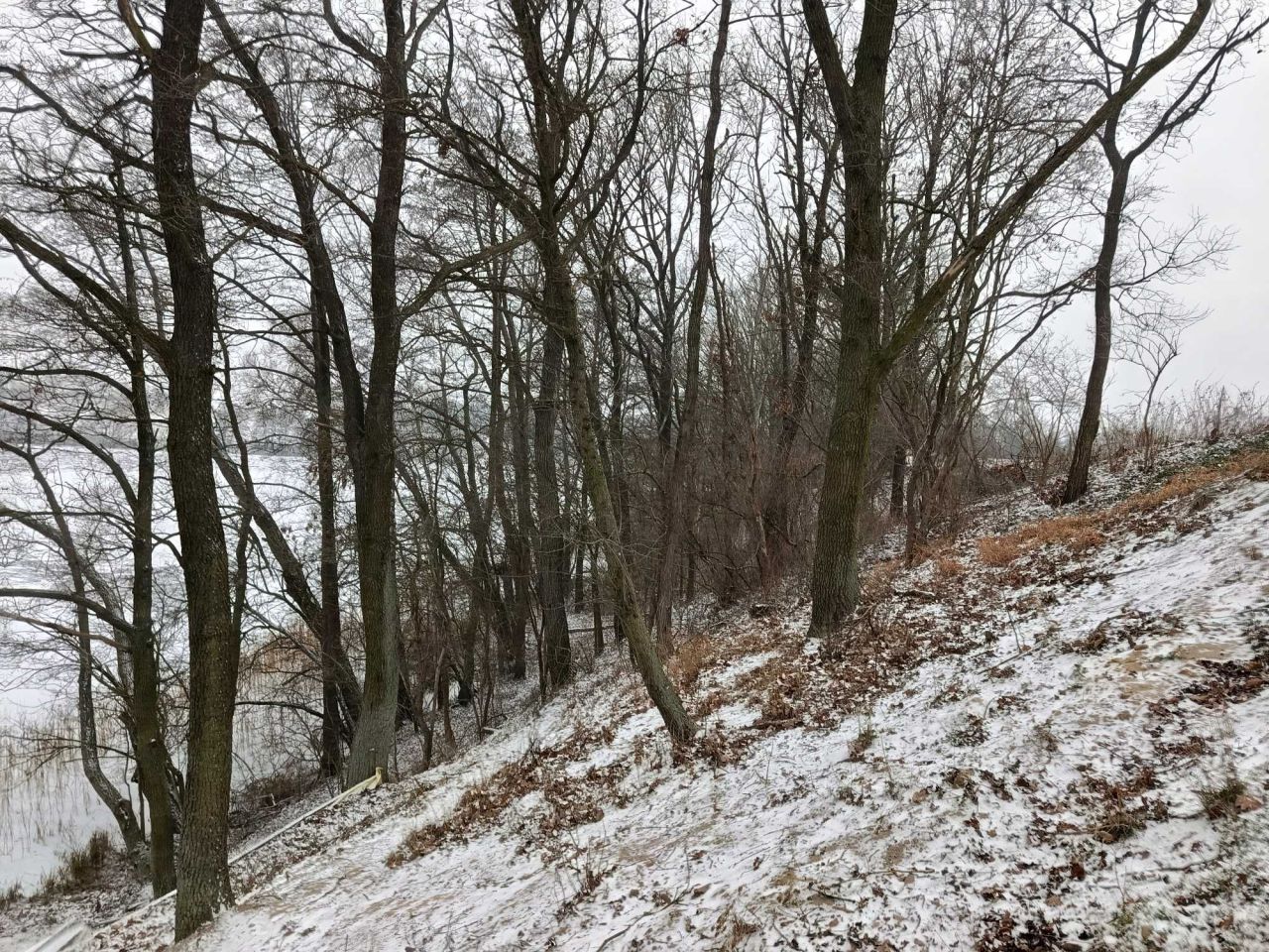 Działka budowlana Skórki. Zdjęcie 8