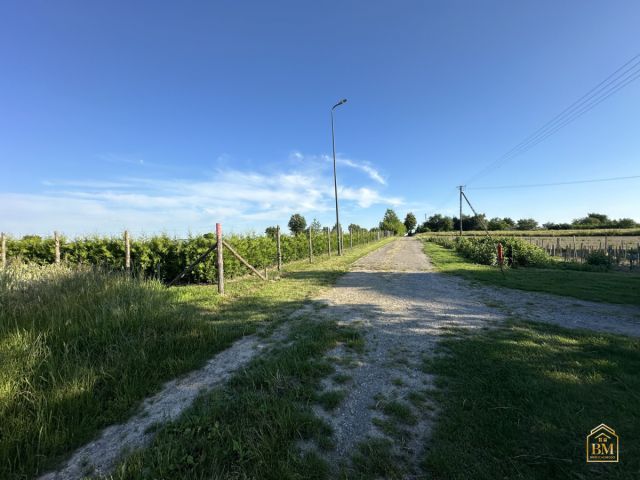 Działka siedliskowa Płouszowice-Kolonia. Zdjęcie 6