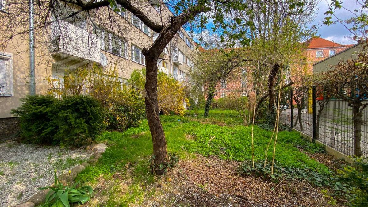 Mieszkanie 3-pokojowe Wrocław Stare Miasto, ul. Kotlarska. Zdjęcie 11