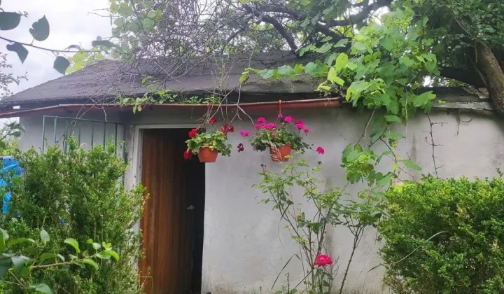 Działka rod Szczecin Bukowo, ul. Szosa Polska