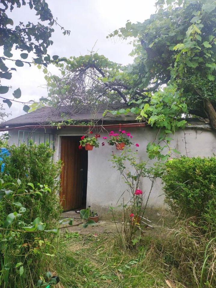 Działka rod Szczecin Bukowo, ul. Szosa Polska. Zdjęcie 1