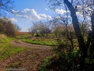 Działka rekreacyjna Trojanowice, ul. Garlicka. Zdjęcie 1