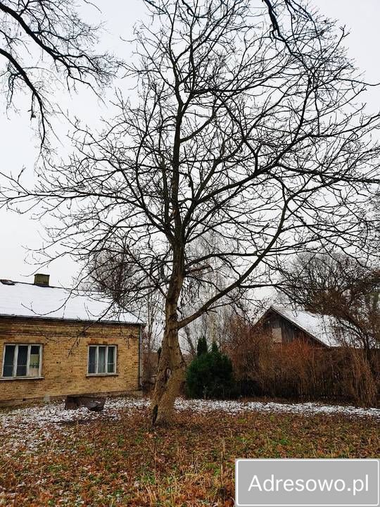 gospodarstwo Rębowo. Zdjęcie 3