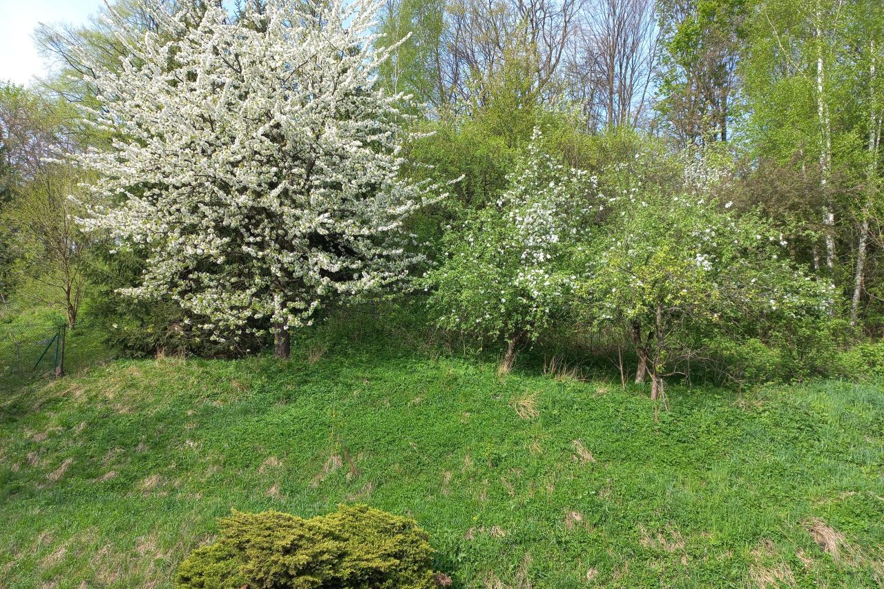 dom wolnostojący, 8 pokoi Żywiec, ul. Folwark. Zdjęcie 20
