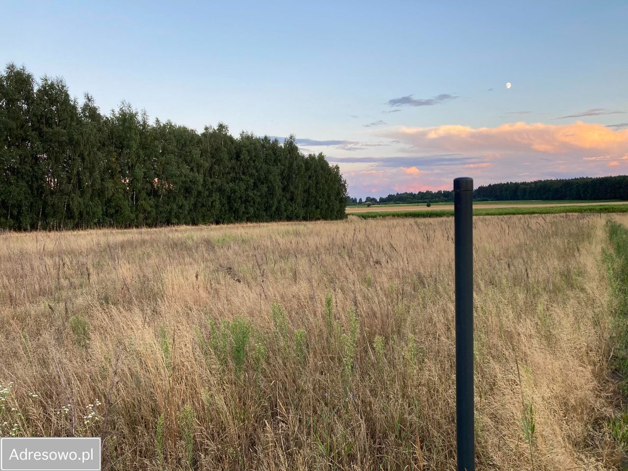 Działka Zalew. Zdjęcie 6