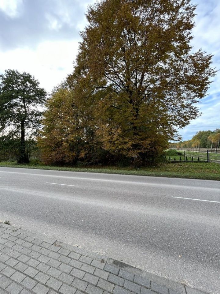 Działka rolno-budowlana Suchoczasy. Zdjęcie 6