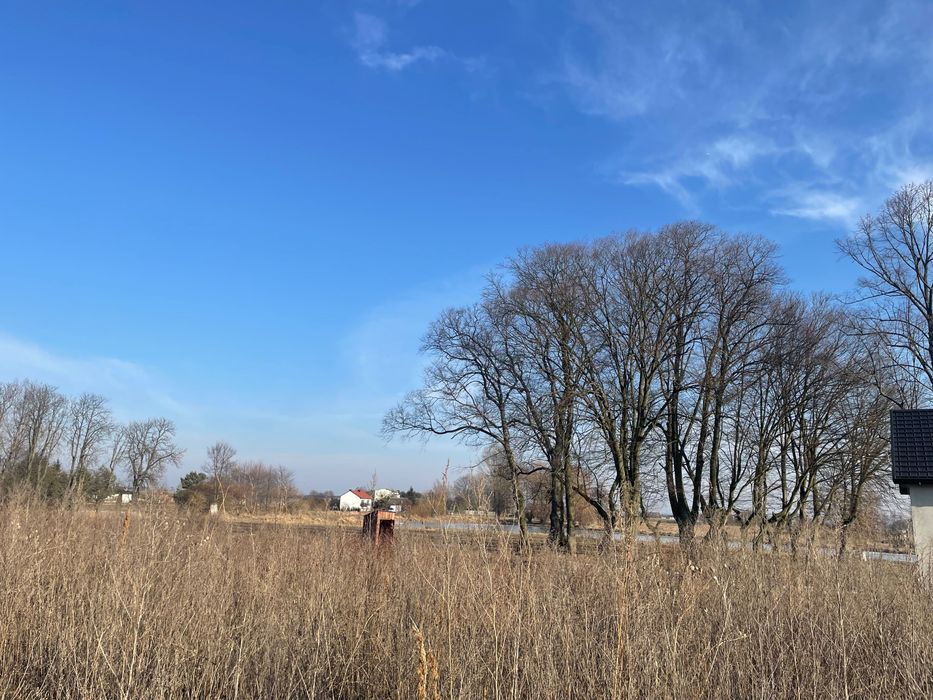 Działka budowlana Zalesice-Kolonia. Zdjęcie 7