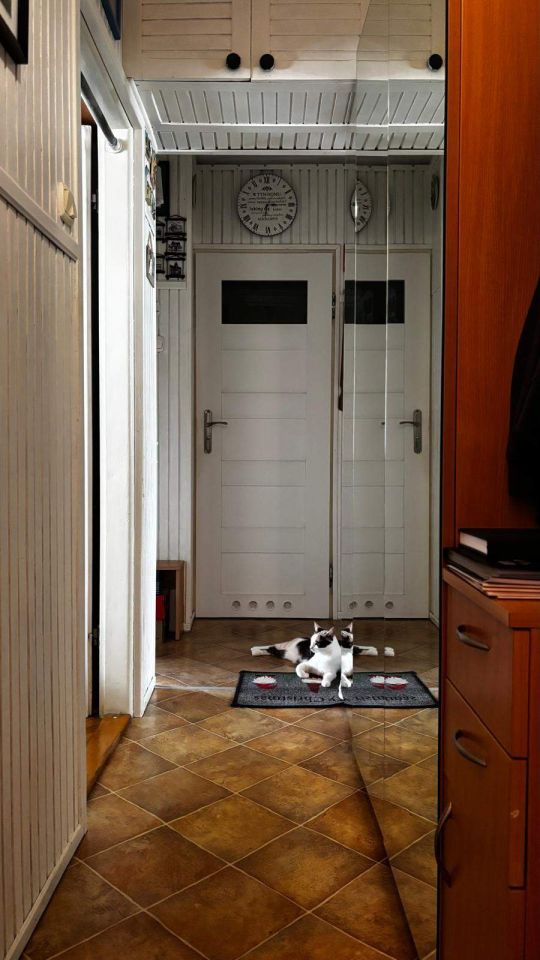 Mieszkanie 2-pokojowe Starachowice Centrum, ul. Przyjazna. Zdjęcie 6