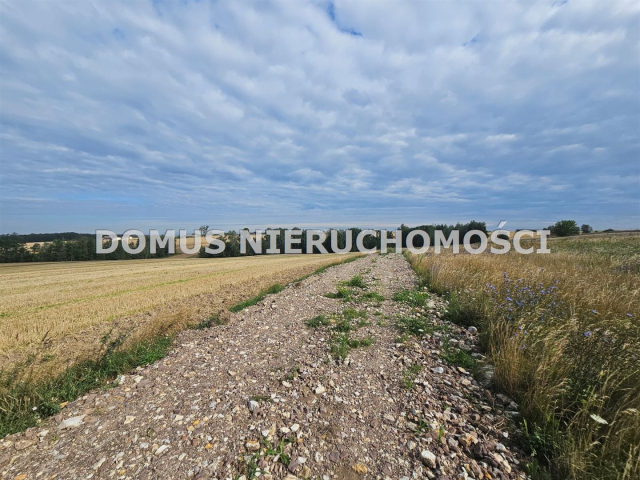 Działka budowlana Jasień. Zdjęcie 7