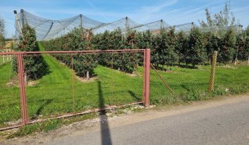 Działka budowlana Chynów, ul. Owocowa