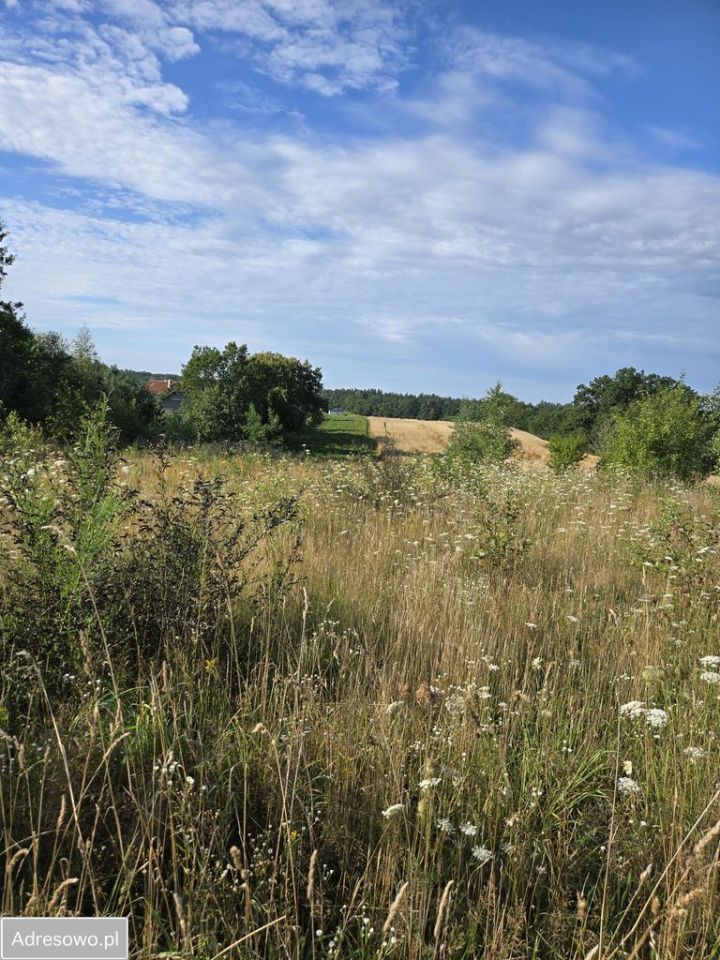 Działka budowlana Skrzeszewo. Zdjęcie 3