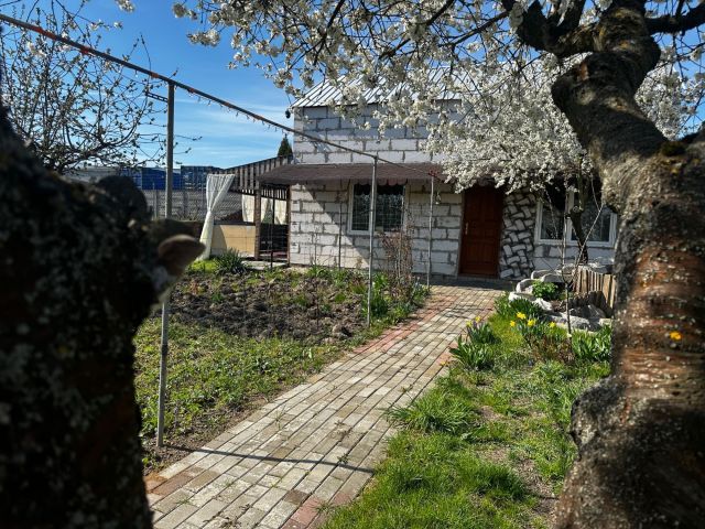 Działka rod Świebodzin, ul. Kozia. Zdjęcie 1