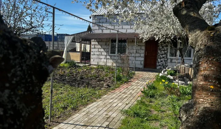 Działka rod Świebodzin, ul. Kozia