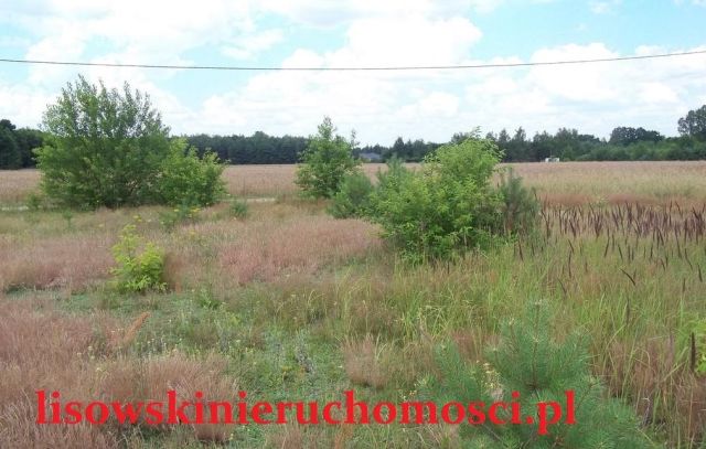 Działka rolno-budowlana Bełdów. Zdjęcie 1