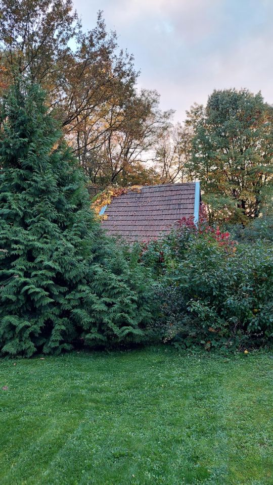 dworek, 7 pokoi Dąbrowa Tarnowska Zazamcze, ul. Kościuszki. Zdjęcie 8