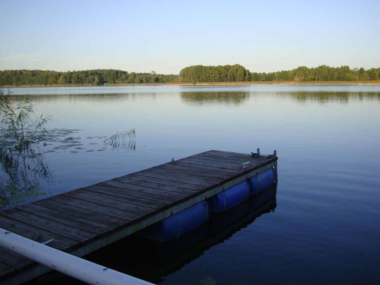 Działka rolno-budowlana Stryjewo. Zdjęcie 3