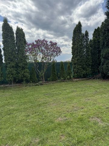 Działka rekreacyjna Ziemnice. Zdjęcie 1