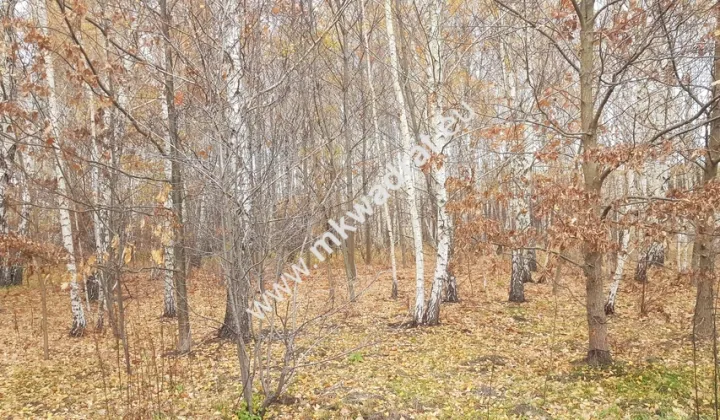 Działka budowlana Holendry Baranowskie