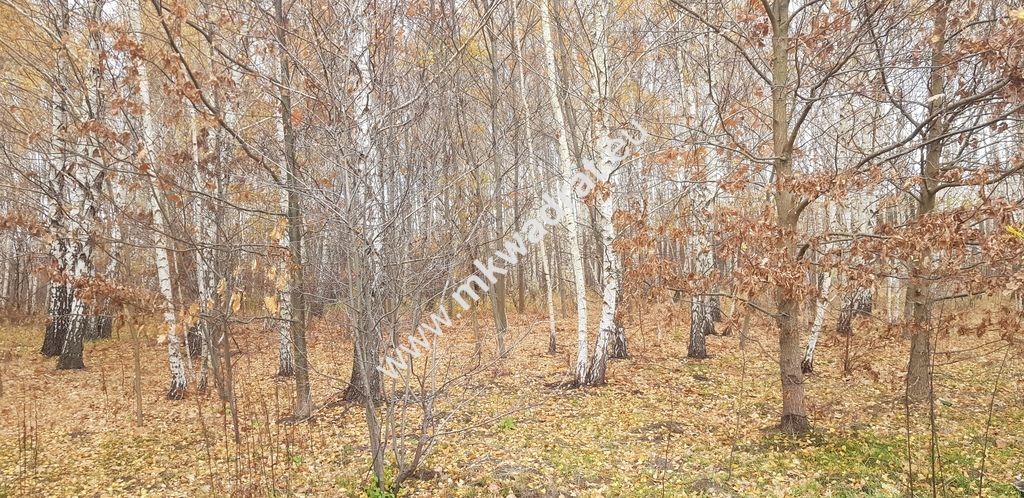Działka budowlana Holendry Baranowskie. Zdjęcie 1