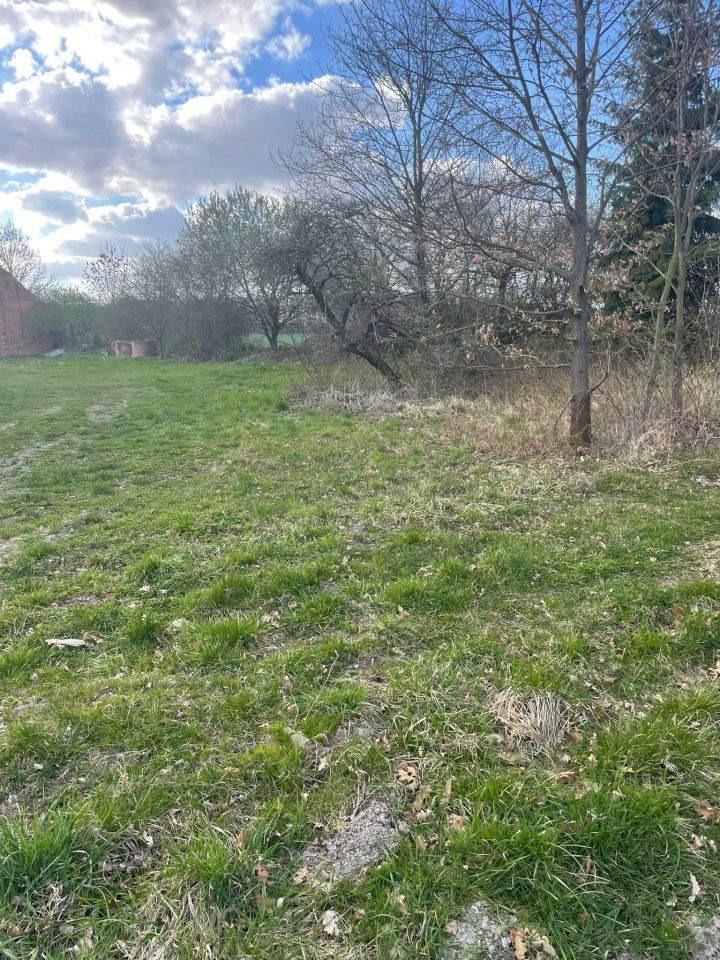 Działka budowlana Kalinowice Górne. Zdjęcie 6