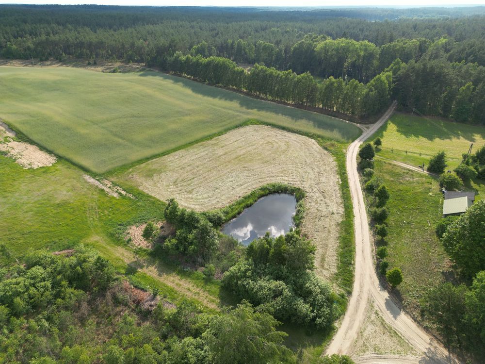 Działka Stara Kiszewa. Zdjęcie 3