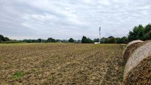 Działka rolna Jastrzębie-Zdrój Bzie Zameckie, ul. Klubowa. Zdjęcie 3