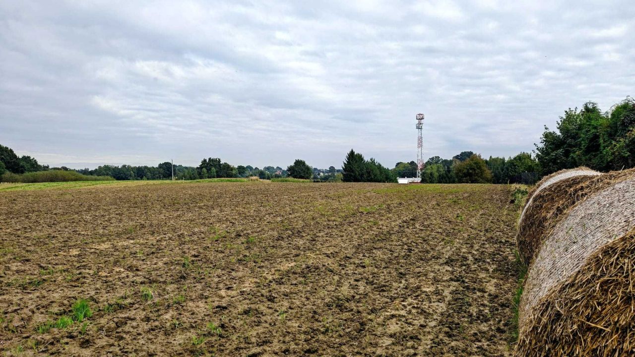 Działka rolna Jastrzębie-Zdrój Bzie Zameckie, ul. Klubowa. Zdjęcie 4