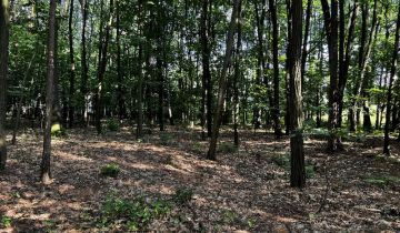 Działka Pogórska Wola