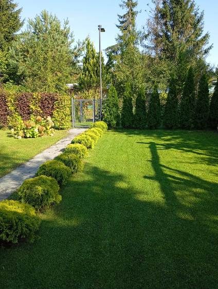 Działka rod Warszawa Włochy, ul. Kinetyczna. Zdjęcie 2