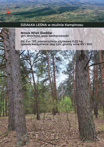 Działka rolna Nowa Wieś-Śladów. Zdjęcie 1