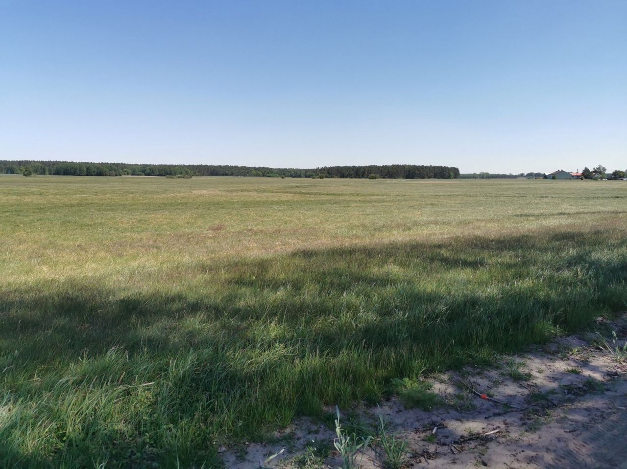 Działka rolna Święta. Zdjęcie 3