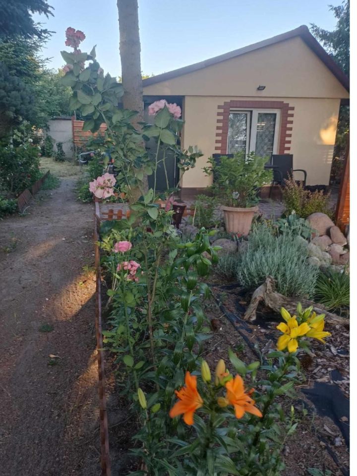 Działka rekreacyjna Słodków. Zdjęcie 2