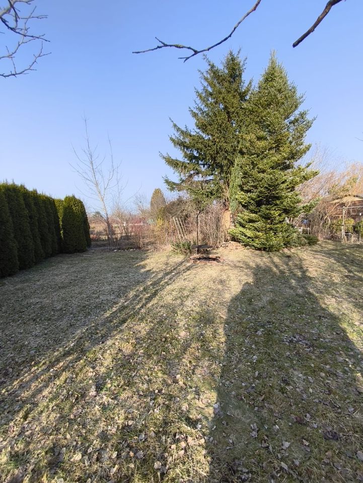 Działka rod Dąbrowica. Zdjęcie 8