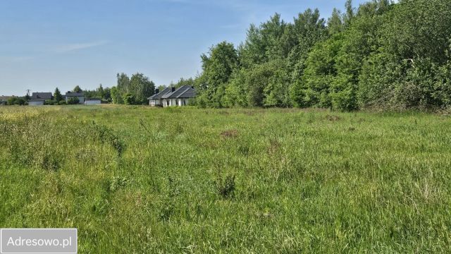 Działka budowlana Maków, ul. Gajowa. Zdjęcie 1